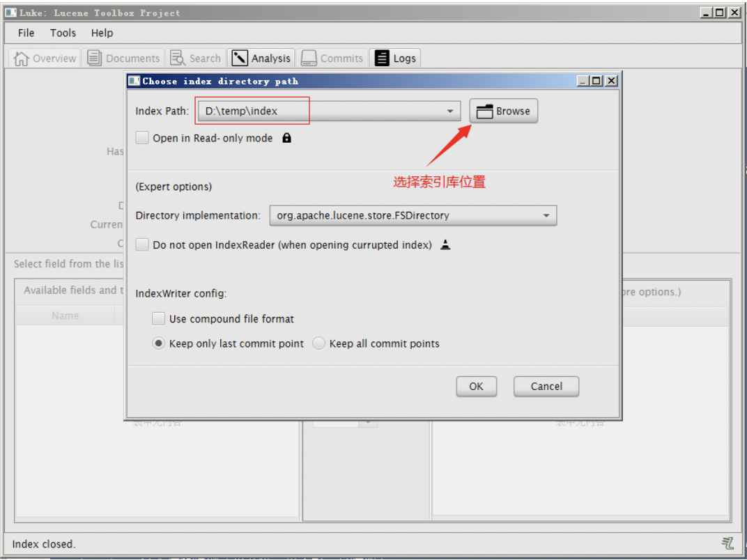 02-使用 Luke 工具查看索引文件